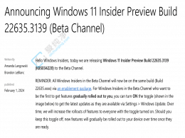 Win11 Beta A(y)[l(f)ޏ(f)@ȡ¡o Bug 